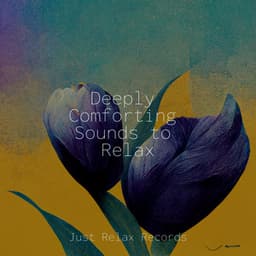 Deeply Comforting Sounds to Relax - Relaxamento