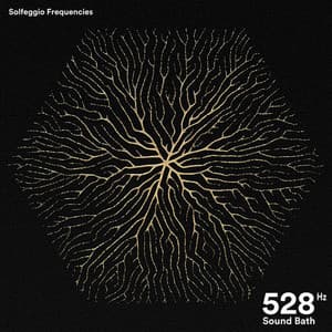 528 Hz Sound Bath - Solfeggio Wellness Frequencies