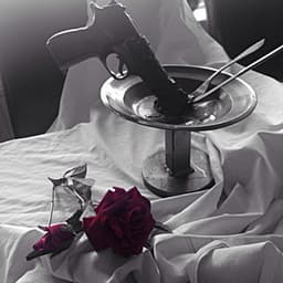 Passion Pulse Trap: Bedroom, Erotic, Luxurious & Sensual Vibes - #1 Hits Now