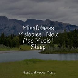 Mindfulness Melodies | New Age Music | Sleep - Avslappning Sound