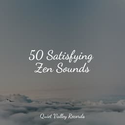 50 Satisfying Zen Sounds - Nature Recordings