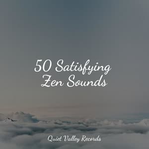 50 Satisfying Zen Sounds - Nature Recordings