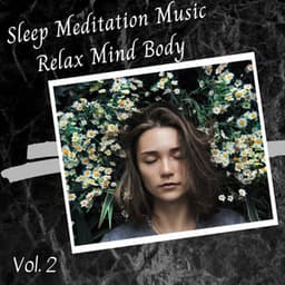 Sleep Meditation Music Relax Mind Body Vol. 2 - Study Music & Sounds