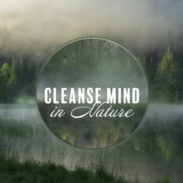 Cleanse Mind in Nature: Soothing Nature Music Ambience - Kings of Nature