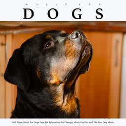 Music For Dogs: Soft Piano Music For Dogs Ears, Pet Relaxation, Pet Therapy, Music For Pets and The Best Dog Music - Music For Dogs