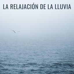 La Relajación De La Lluvia - Efectos especiales de lluvia del bosque