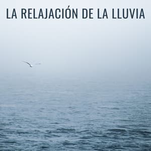La Relajación De La Lluvia - Efectos especiales de lluvia del bosque