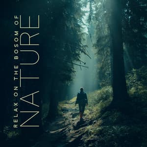 Relax on the Bosom of Nature: Soothing Nature Sounds to Relieve Stress & Anxiety - Nature Music Sanctuary