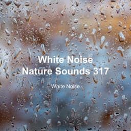 White Noise 317 - White Noise