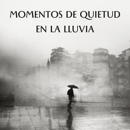 Momentos De Quietud En La Lluvia - Lluvia en el Bosque