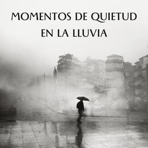 Momentos De Quietud En La Lluvia - Lluvia en el Bosque
