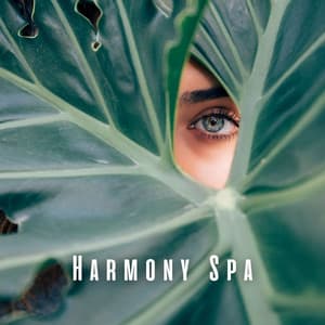 Harmony Spa: Meditation Music for Mindful Healing - Natural Healing Music Zone