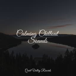 Calming Chillout Sounds - Crying & Colic Relief