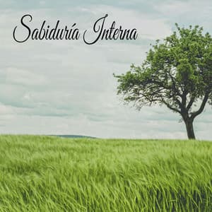 Sabiduría Interna - Música Instrumental Maestro