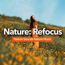 Nature: Refocus - Nature Sounds Radio