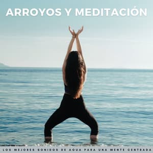 Arroyos Y Meditación: Los Mejores Sonidos De Agua Para Una Mente Centrada - Meditación Con Ruido Rosado