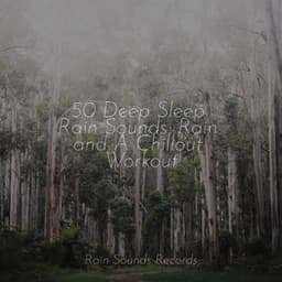 50 Deep Sleep Rain Sounds: Rain and A Chillout Workout - Meditation Rain Sounds