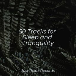 50 Tracks for Sleep and Tranquility - Nature Sound Collection