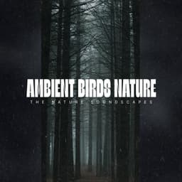 Ambient Birds Nature - The Nature Soundscapes