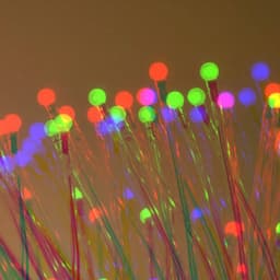 Feelings for Slow Times - Chill Lounge Vibes