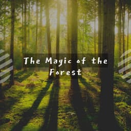 The Magic of the Forest - Music For Relaxing