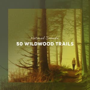 50 Wildwood Trails - Natural Sounds