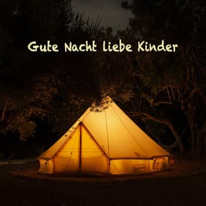 Gute Nacht liebe Kinder - Baby Sleep Music