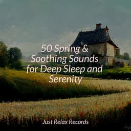 50 Spring & Soothing Sounds for Deep Sleep and Serenity - Music For Absolute Sleep