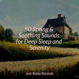 50 Spring & Soothing Sounds for Deep Sleep and Serenity - Music For Absolute Sleep