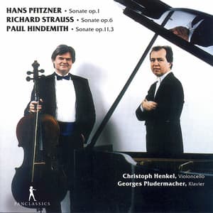 Pfitzner, Hindemith & R. Strauss: Cello Sonatas - Christoph Henkel