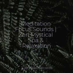 Meditation Focus Sounds | Zen Mystical Spa & Relaxation - Dog Music