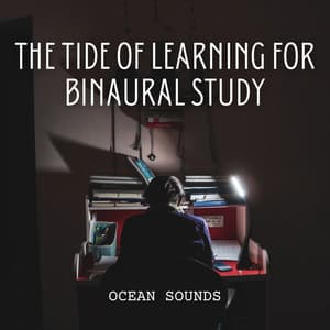 Ocean Sounds: The Tide of Learning for Binaural Study - Ocean Noises