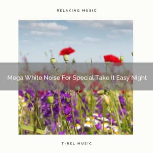 Mega White Noise For Special Take It Easy Night - Ocean Sleep Sounds