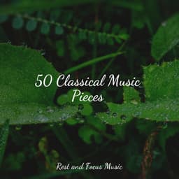 50 Classical Music Pieces - Deep Focus