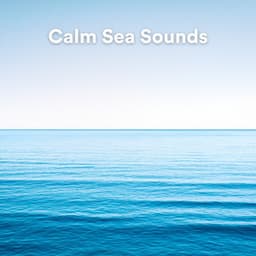 Calm Sea Sounds - Calm Ocean Sounds