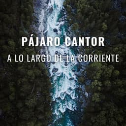 Pájaro Cantor A Lo Largo De La Corriente - Flujo de agua definitivo