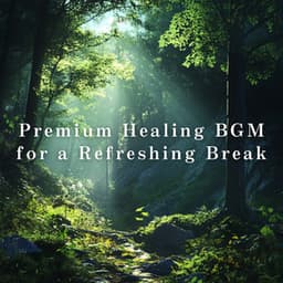 Premium Healing BGM for a Refreshing Break - Relaxing BGM Project