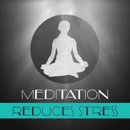Meditation Reduces Stress – Yoga Training, Deep Concentration, Nature Sounds, Instrumental Music, Chakra Healing - Various Artists