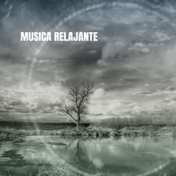 Musica Relajante - Studying Music Group