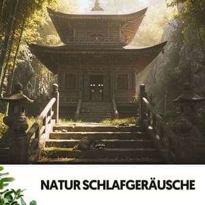 Natur Schlafgeräusche: Ruhige Schlummersymphonie - Solfeggio Frequencies 528Hz
