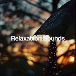 Relaxation Sounds - Meditation Rain Sounds