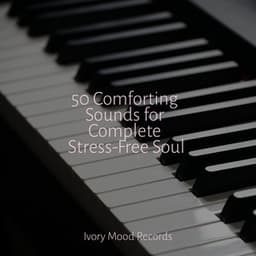 50 Comforting Sounds for Complete Stress-Free Soul - Ivory Mood