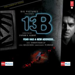 13B - Shankar-Ehsaan-Loy