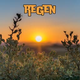 Vitalize Nature - Regengeräusche