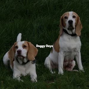 Doggy Days - Cooking Music Fun