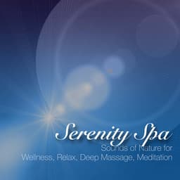 Serenity Spa - Relaxation Spa Music with Background Sounds of Nature - Asian Silence Duo