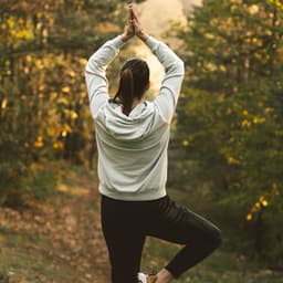 Drifting Rain Melodies: Calm Yoga Soundscapes Chill Music - Rain Wonder