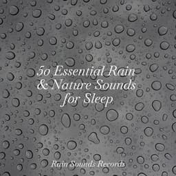 50 Essential Rain & Nature Sounds for Sleep - Ocean Waves For Sleep