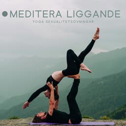 Meditera liggande: Yoga sexualitetsövningar, Djup hinduisk terapi, Samtida magdans, Koncentrera dig på din sexualitet - Sensuell tantrisk musik