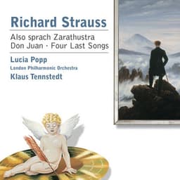 Strauss: Also sprach Zarathustra/Don Juan/4 Last Songs etc - Richard Strauss